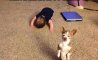 Fun Pic - Donnerstags Fun PicDump #142 - 99