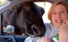 Fun Pic - Donnerstags Fun PicDump #144 - 106
