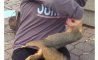 Fun Pic - Donnerstags Fun PicDump #144 - 50