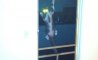Fun Pic - Donnerstags Fun PicDump #144 - 54