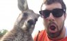Fun Pic - Donnerstags Fun PicDump #144 - 6