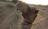 Fun Pic - Donnerstags Fun PicDump #144 - 98