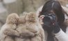 Fun Pic - Donnerstags Fun PicDump #146 - 51