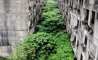 Fun Pic - Donnerstags Fun PicDump #146 - 55