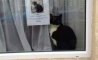 Fun Pic - Donnerstags Fun PicDump #148 - 12