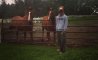 Fun Pic - Donnerstags Fun PicDump #148 - 162