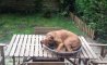 Fun Pic - Donnerstags Fun PicDump #148 - 80