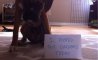 Fun Pic - Donnerstags Fun PicDump #154 - 54