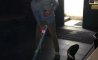 Fun Pic - Donnerstags Fun PicDump #155 - 51