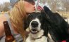 Fun Pic - Donnerstags Fun PicDump #157 - 76