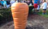 Fun Pic - Donnerstags Fun PicDump #157 - 88