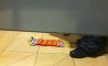 Fun Pic - Donnerstags Fun PicDump #157 - 96