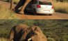 Fun Pic - Donnerstags Fun PicDump #161 - 10