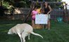 Fun Pic - Donnerstags Fun PicDump #161 - 130