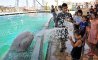 Fun Pic - Donnerstags Fun PicDump #161 - 14