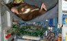 Fun Pic - Donnerstags Fun PicDump #161 - 26