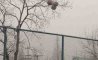 Fun Pic - Donnerstags Fun PicDump #161 - 62