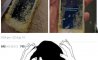 Fun Pic - Donnerstags Fun PicDump #161 - 90