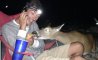 Fun Pic - Donnerstags Fun PicDump #163 - 102