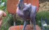 Fun Pic - Donnerstags Fun PicDump #163 - 162