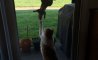 Fun Pic - Donnerstags Fun PicDump #163 - 3