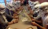 Fun Pic - Donnerstags Fun PicDump #163 - 51