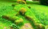 Fun Pic - Donnerstags Fun PicDump #163 - 67