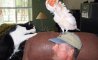 Fun Pic - Donnerstags Fun PicDump #164 - 35