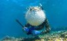 Fun Pic - Donnerstags Fun PicDump #165 - 109