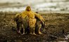 Fun Pic - Donnerstags Fun PicDump #165 - 49