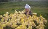 Fun Pic - Donnerstags Fun PicDump #165 - 53