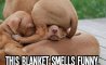 Fun Pic - Donnerstags Fun PicDump #166 - 104