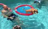 Fun Pic - Donnerstags Fun PicDump #166 - 128