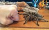 Fun Pic - Donnerstags Fun PicDump #166 - 24