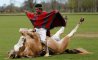 Fun Pic - Donnerstags Fun PicDump #166 - 76