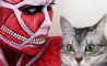 Fun Pic - Donnerstags Fun PicDump #168 - 50