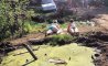 Fun Pic - Donnerstags Fun PicDump #171 - 94
