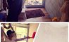 Fun Pic - Donnerstags Fun PicDump #172 - 91