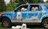 Fun Pic - Donnerstag Fun PicDump #185 - 111