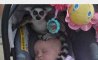 Fun Pic - Donnerstag Fun PicDump #224 - 86