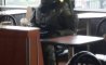 Fun Pic - Donnerstag Fun PicDump #239 - 22