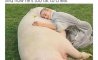 Fun Pic - Donnerstag Fun PicDump #245-856 - 94