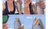Fun Pic - Donnerstag Fun PicDump #286 - 20