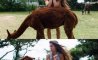 Fun Pic - Donnerstag Fun PicDump #286 - 4