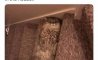 Fun Pic - Donnerstag Fun PicDump #327 - 61
