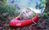 Fun Pic - Donnerstag Fun PicDump #356 - 17