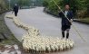 Fun Pic - Donnerstag Fun PicDump #356 - 57