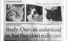 Fun Pic - Donnerstag Fun PicDump #371 o - 97