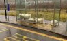 Fun Pic - Donnerstag Fun PicDump #411 - 64