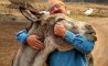 Fun Pic - Donnerstag Fun PicDump #422 - 34